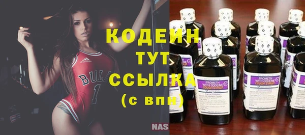 амф Верея