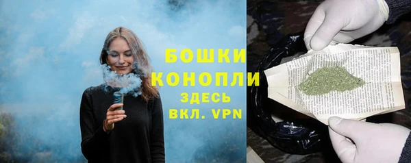 амф Верея