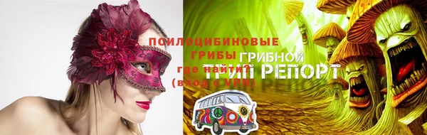амф Верея