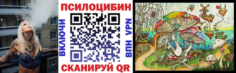 Псилоцибиновые грибы Cubensis  darknet клад  Череповец  сколько стоит 